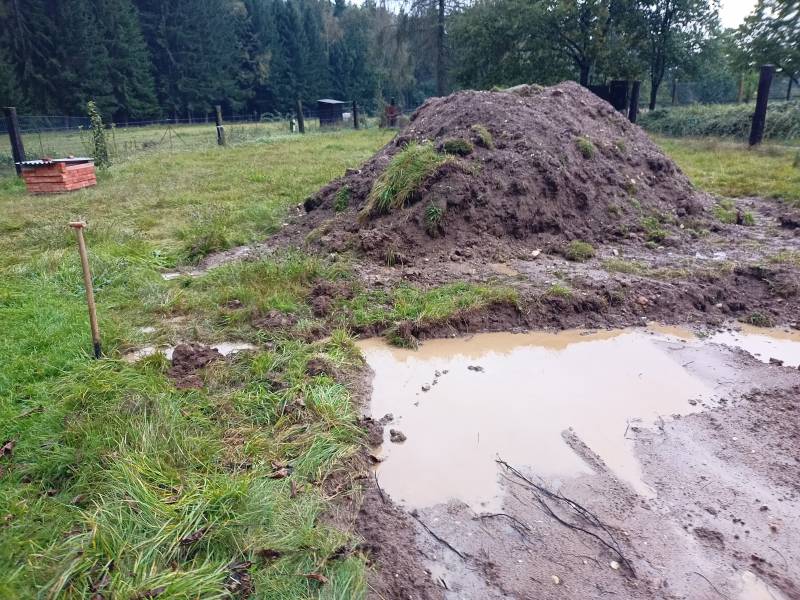 Rybníček. Na radu dozora kopu stružku, ať z toho není úplný bahýnko.